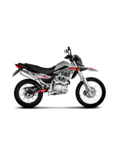 motomel skua 150 silver