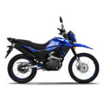 zr 250 ohc v2